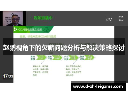 赵鹏视角下的欠薪问题分析与解决策略探讨